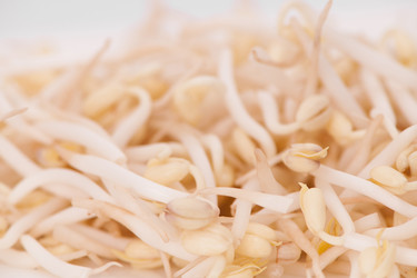 Similar image 12341149