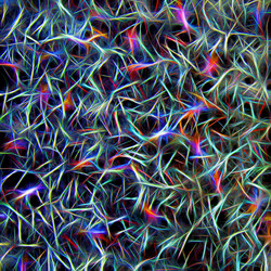 Similar image 12348501