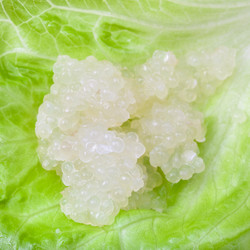 Similar image 12254748