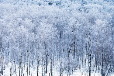 Similar image 12254749