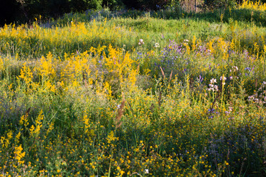 Similar image 12222810