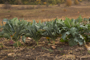 Similar image 12222813