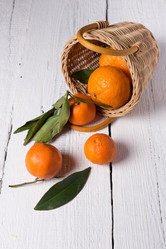 Similar image 12222853