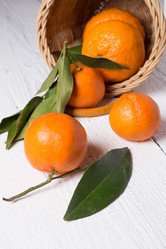 Similar image 12222854