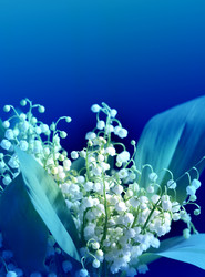 Similar image 12347477