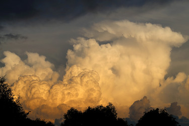 Similar image 12347490