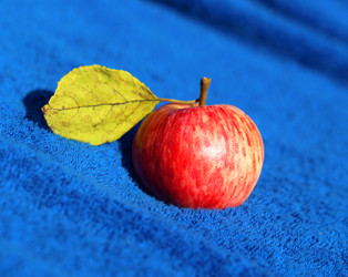 Similar image 12347495