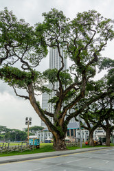 Similar image 12346818