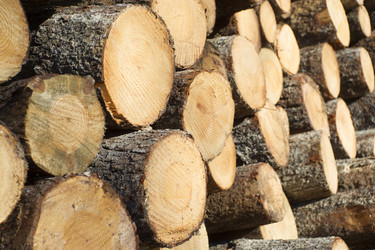 Similar image 12351775