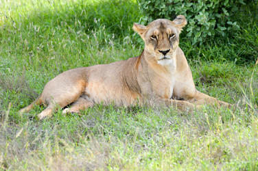 Similar image 12347150