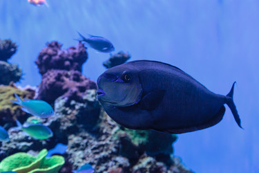 Similar image 12350419