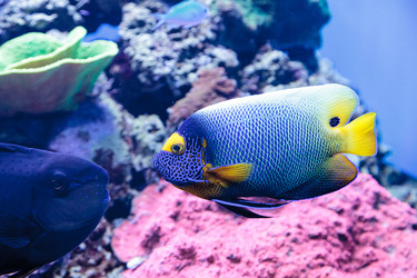 Similar image 12350421