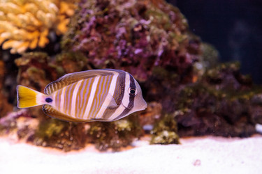 Similar image 12350457