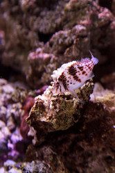 Similar image 12351684