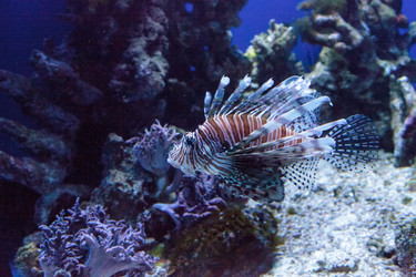 Similar image 12343312