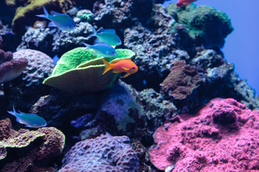 Similar image 12343313