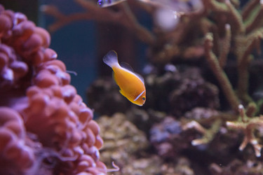 Similar image 12350382