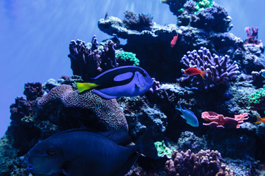 Similar image 12350383