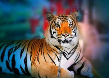 Similar image 12347478