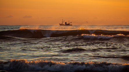 Similar image 12253575