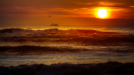 Similar image 12253576