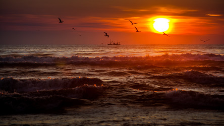 Similar image 12253600