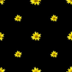 Similar image 12350720