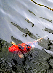 Similar image 12347484