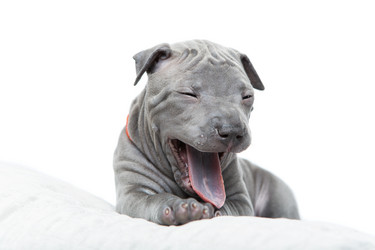 Similar image 12254159