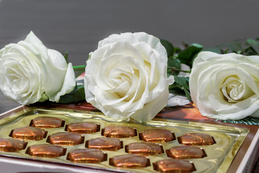 Similar image 12222300