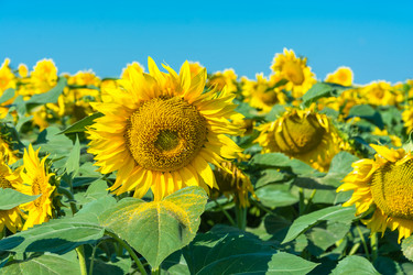 Similar image 12346852