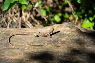 Similar image 12346854