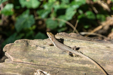 Similar image 12346855