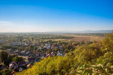 Similar image 12223922