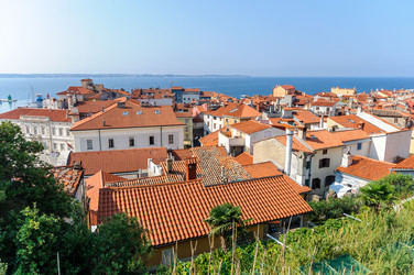 Similar image 12224001