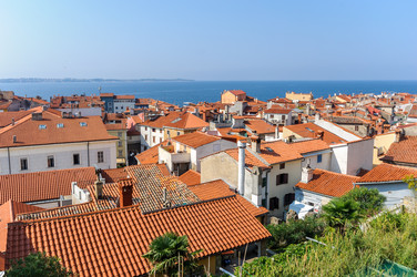 Similar image 12224002