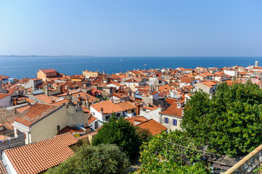 Similar image 12224043