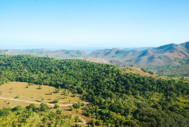 Similar image 12223904