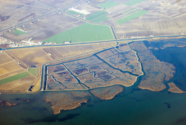 Similar image 12224051