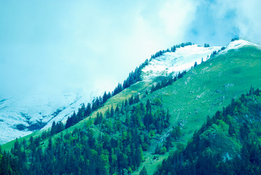 Similar image 12224033