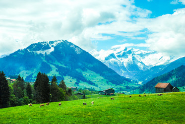 Similar image 12224056