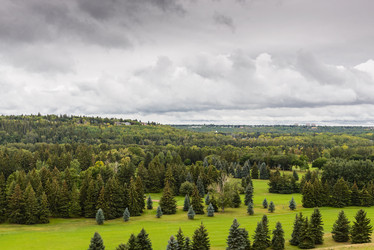 Similar image 12224008