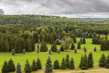 Similar image 12224009