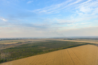 Similar image 12223940