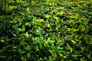 Similar image 12350196