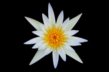 Similar image 12350458