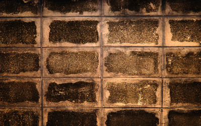 Similar image 12350513