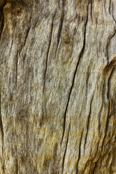 Similar image 12350570