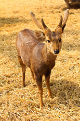 Similar image 12350572