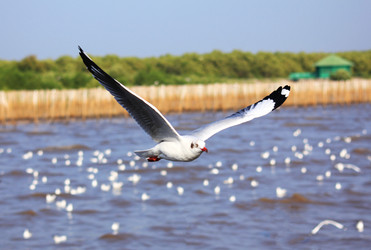 Similar image 12350590